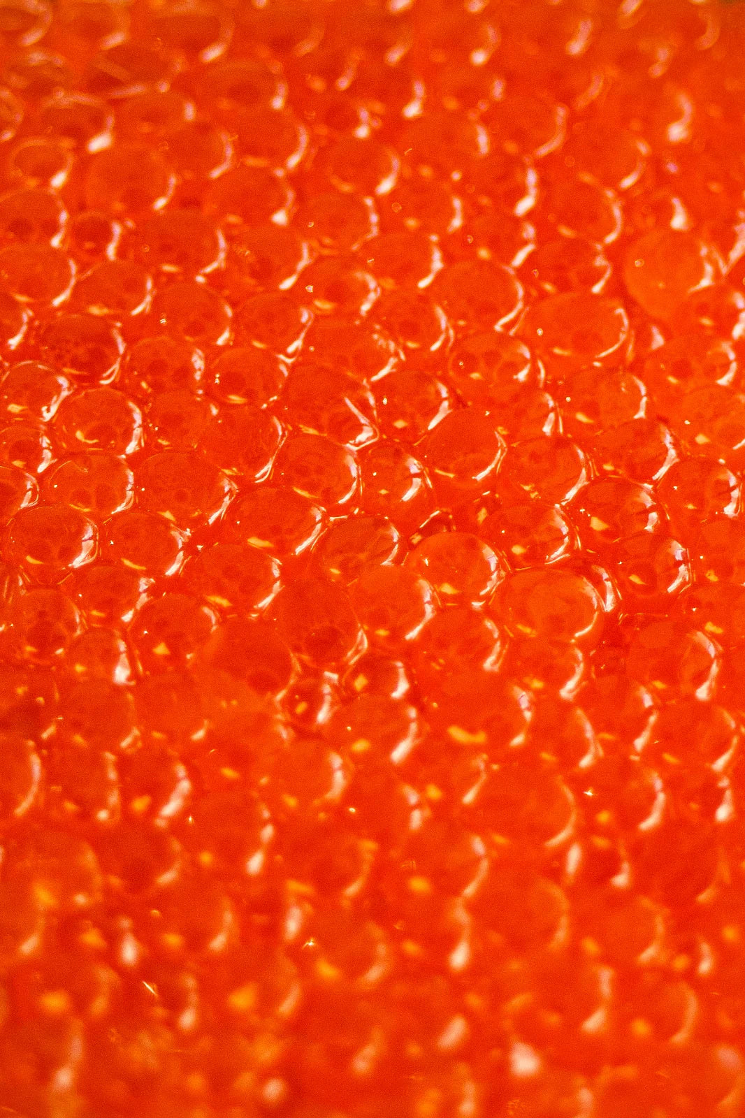 Premium Pink Salmon Roe — 200 g