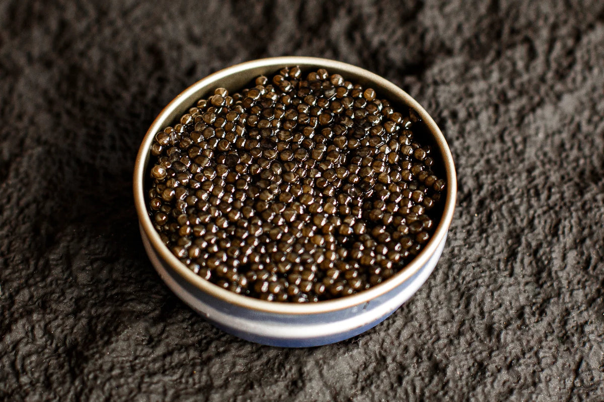 Premium Black Sturgeon Caviar
