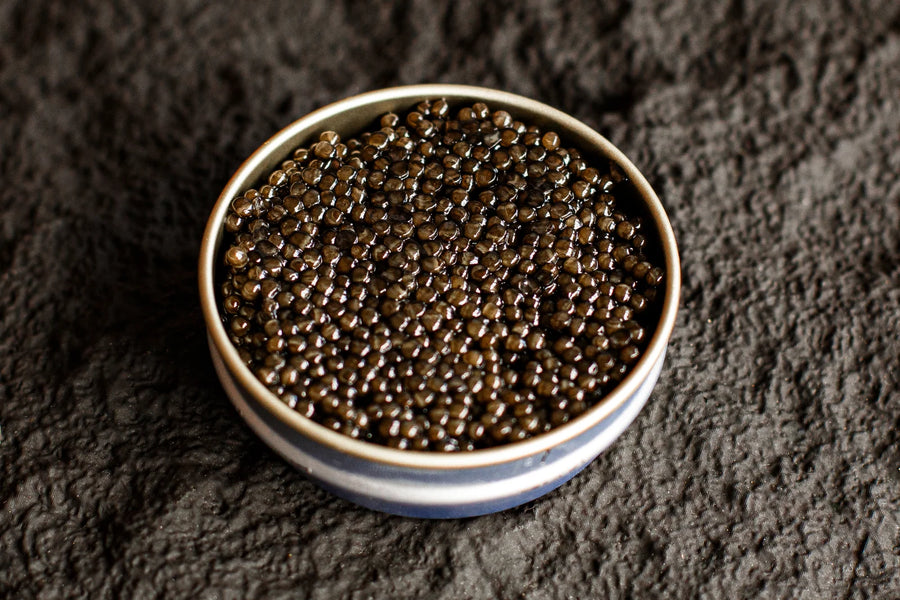 Premium Black Sturgeon Caviar