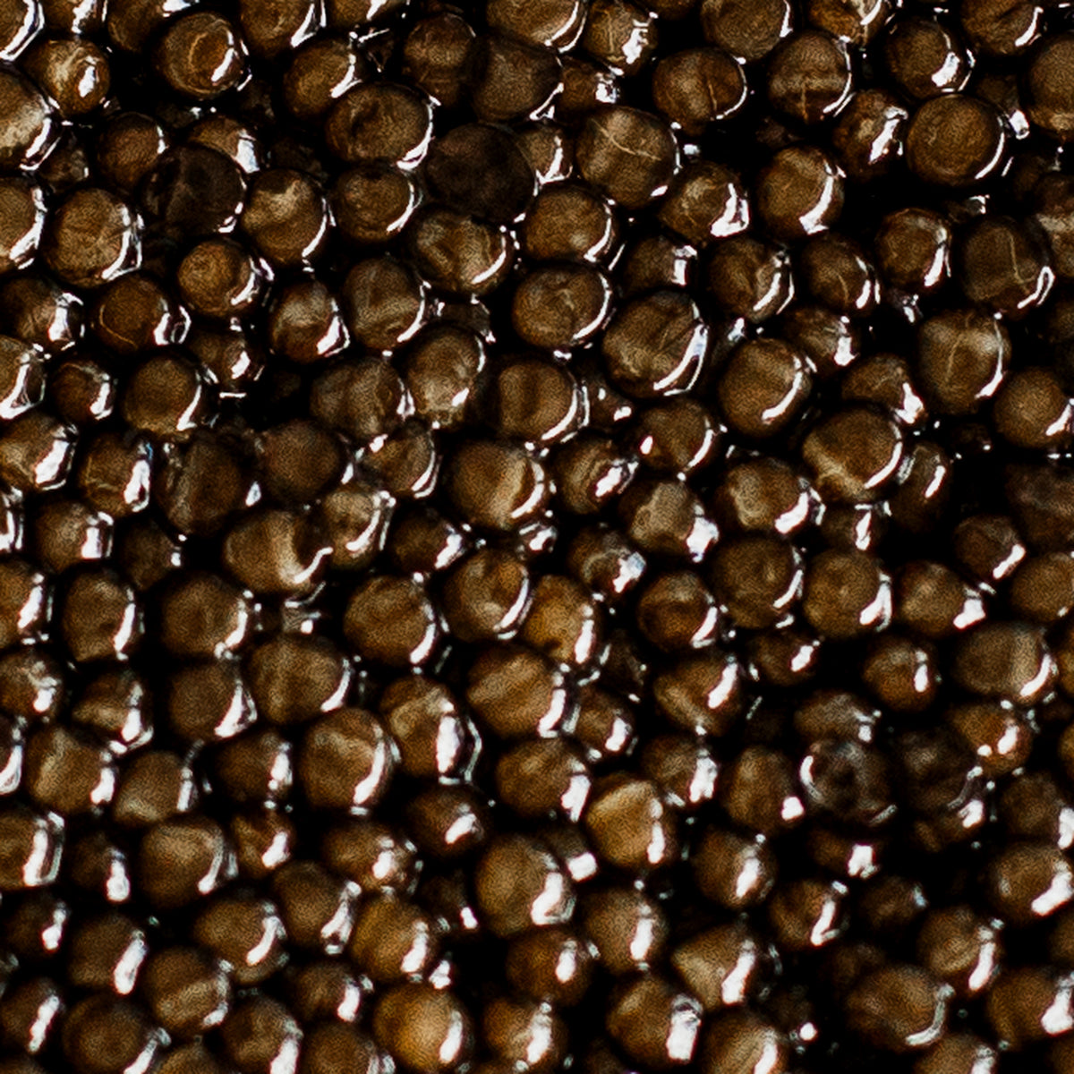 Premium Black Sturgeon Caviar