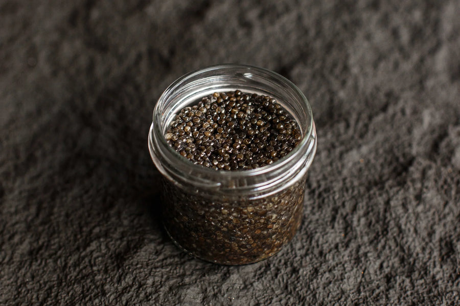 Standard Black Sturgeon Caviar