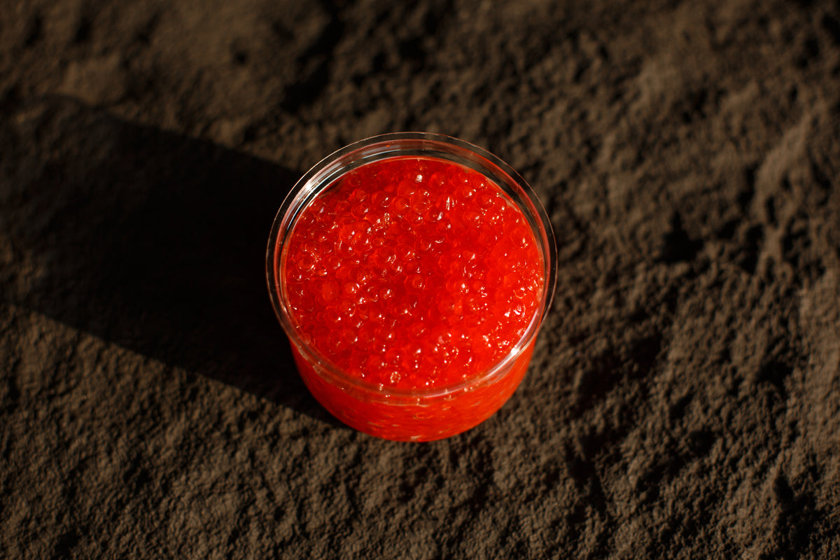 Chilled chum salmon roe